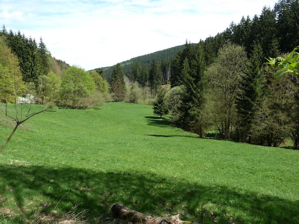 Ferienwohnung Bradsch Ilmenau Habitación foto