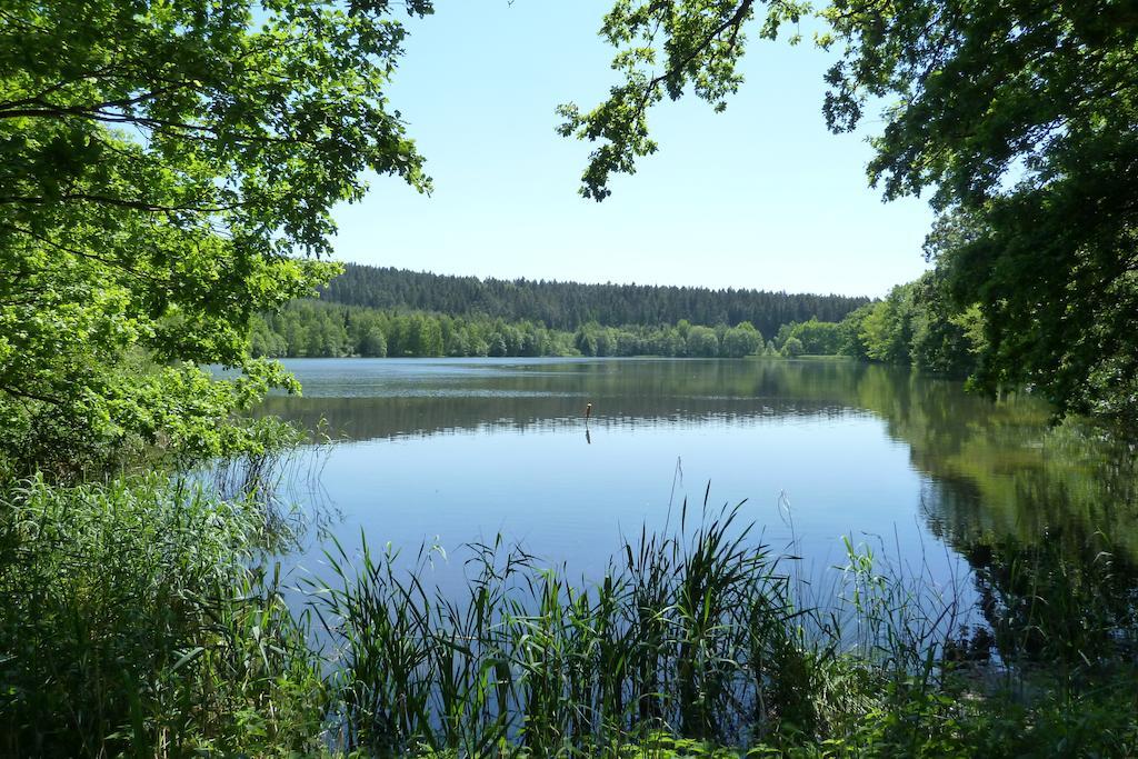 Ferienwohnung Bradsch Ilmenau Habitación foto