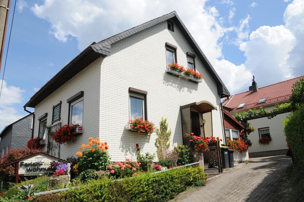 Ferienwohnung Bradsch Ilmenau Habitación foto